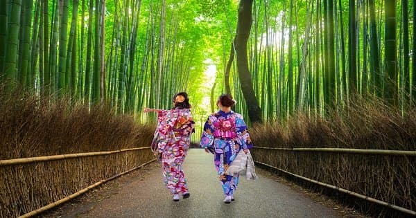 Kyoto’s Arashiyama Bamboo Forest & Temple Garden Tour - Photo 1