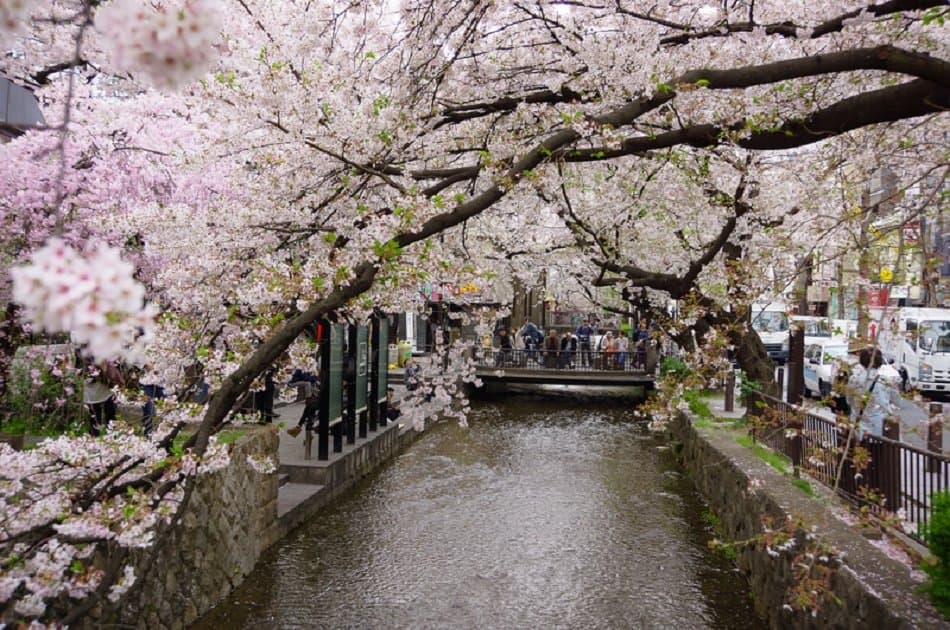 Kyoto Temple, Shrine, Geiko & Sake Private Tour - Photo 7