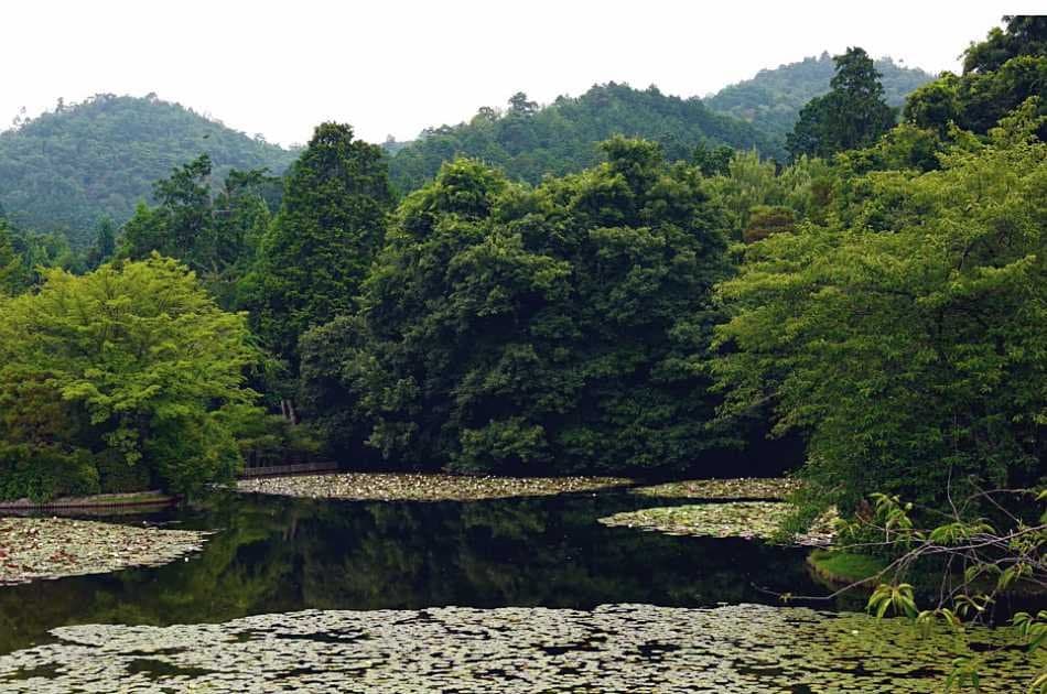 Private Kyoto Garden Tour - Photo 2