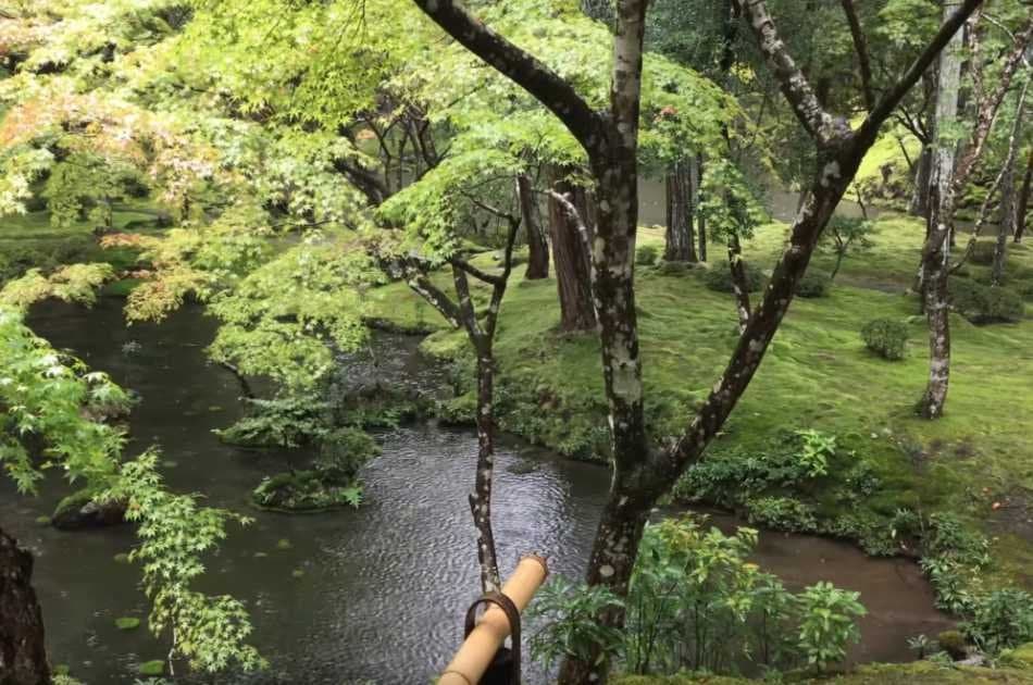 Private Kyoto Garden Tour - Photo 13