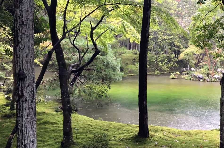 Private Kyoto Garden Tour - Photo 12