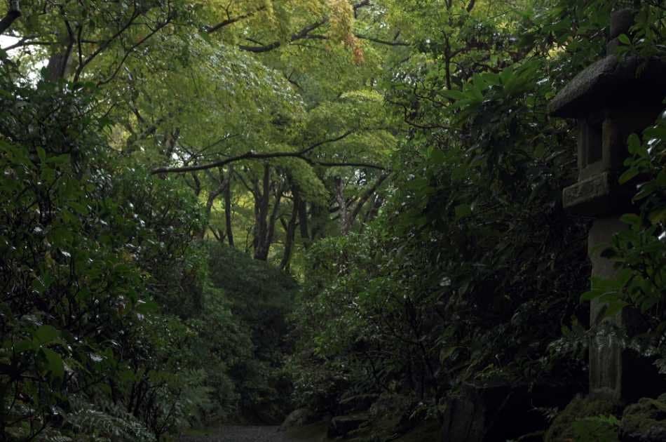 Private Kyoto Garden Tour - Photo 9