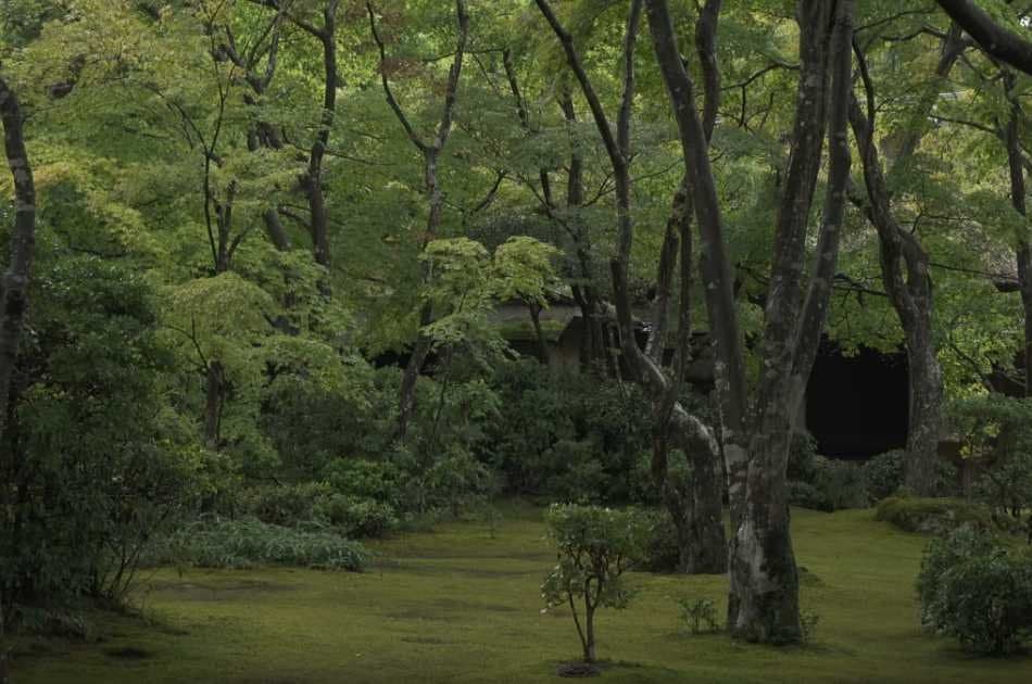Private Kyoto Garden Tour - Photo 8