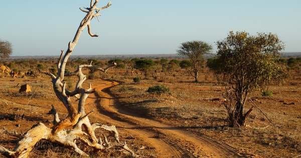 1 Day Mombasa to Tsavo East Safari - Photo 1