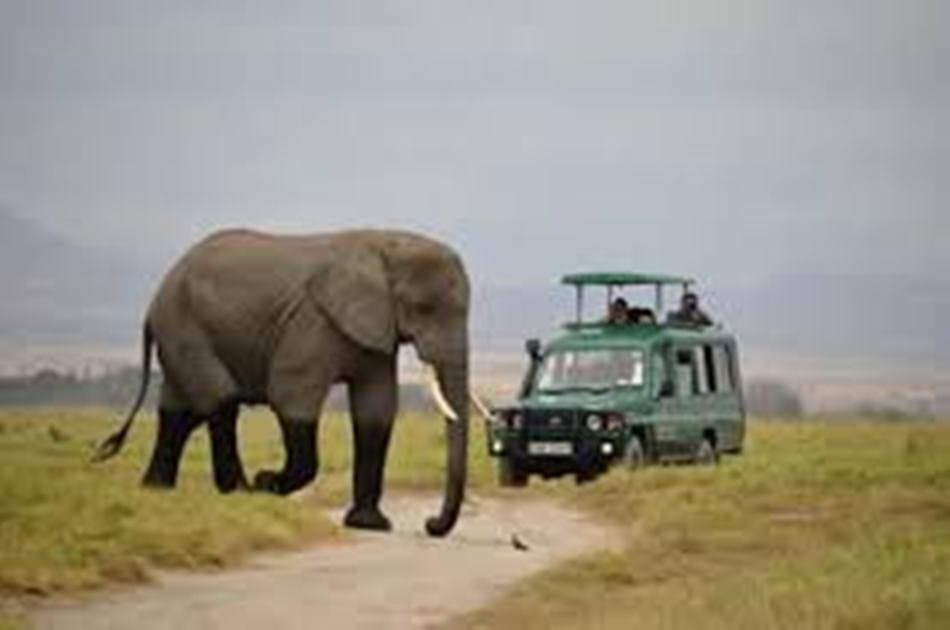 1 Day Mombasa to Tsavo East Safari - Photo 2