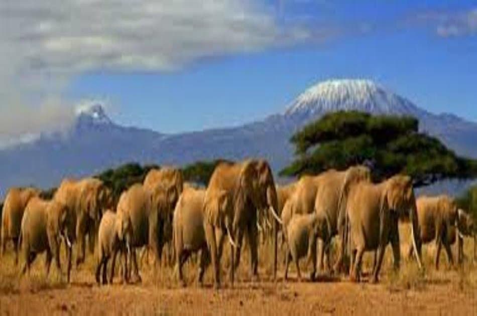 1 Day Mombasa to Tsavo East Safari - Photo 5