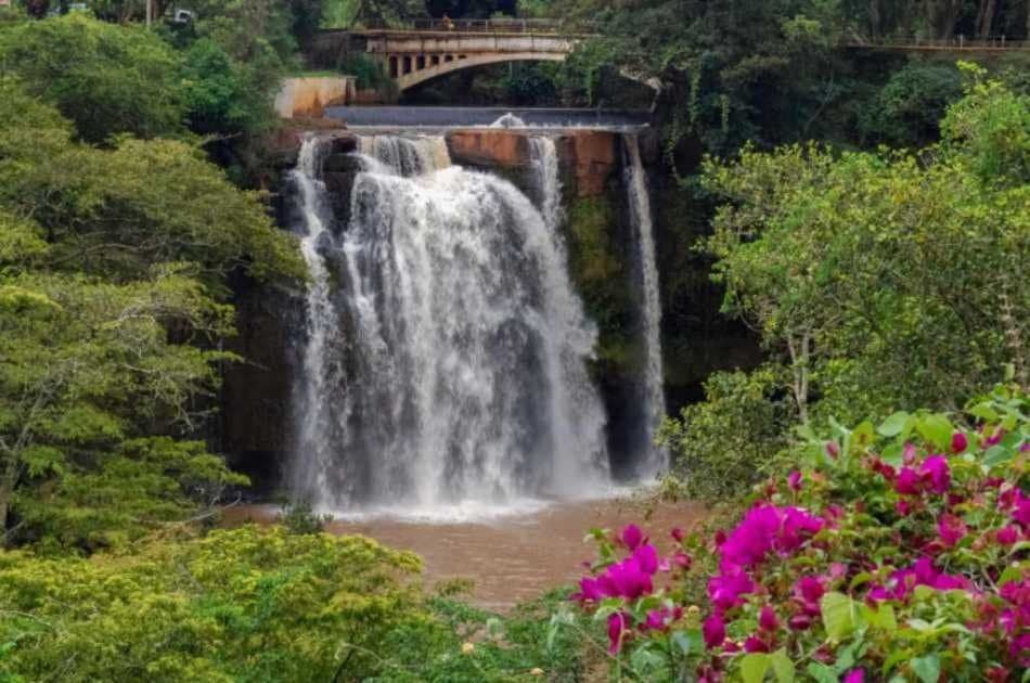 1 Day Scenic Tour to Aberdares National Park - Photo 4