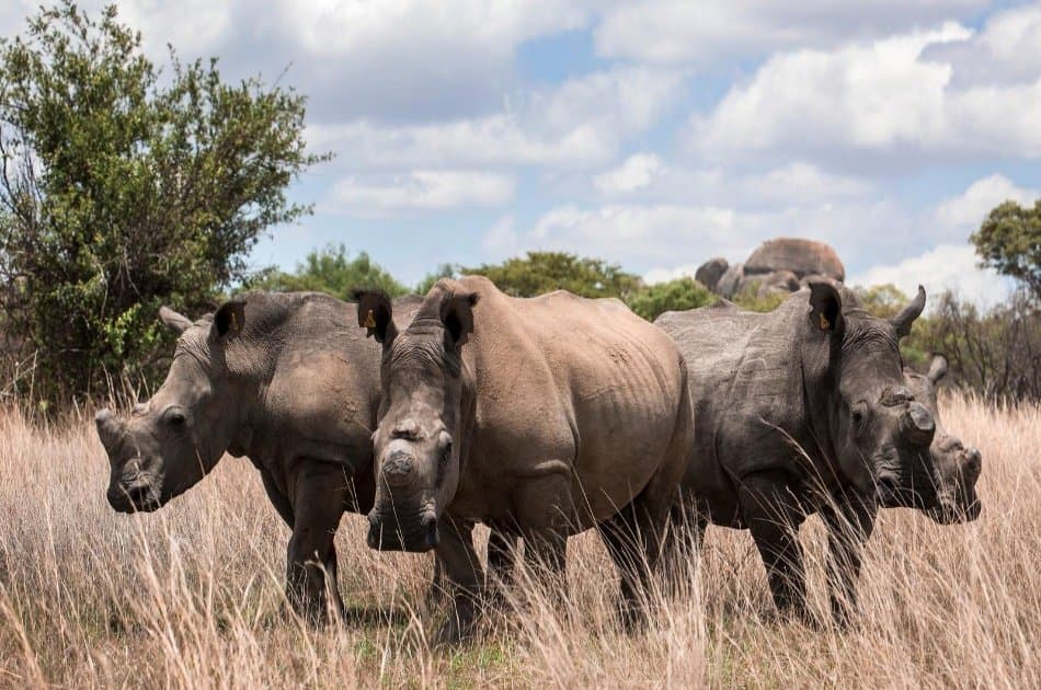 12 Day Kenya and Tanzania Experience Safari - Photo 6