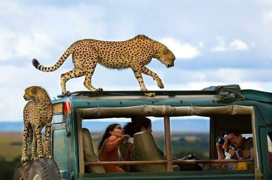 12 Days Best of Kenya & Tanzania - Photo 8