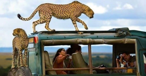 12 Days Best of Kenya & Tanzania - Photo 1