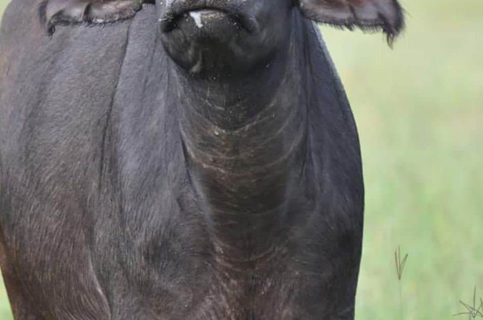 12 Days Best of Kenya & Tanzania - Photo 9