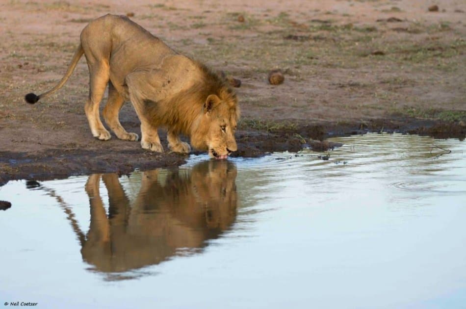 3 Day Amazing Amboseli Experience - Photo 8