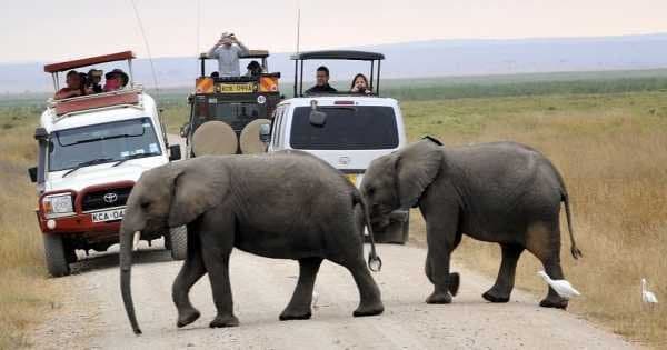 3 Day Amboseli National Park Safari - Photo 1