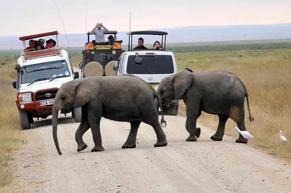 3 Day Amboseli National Park Safari - Photo 4
