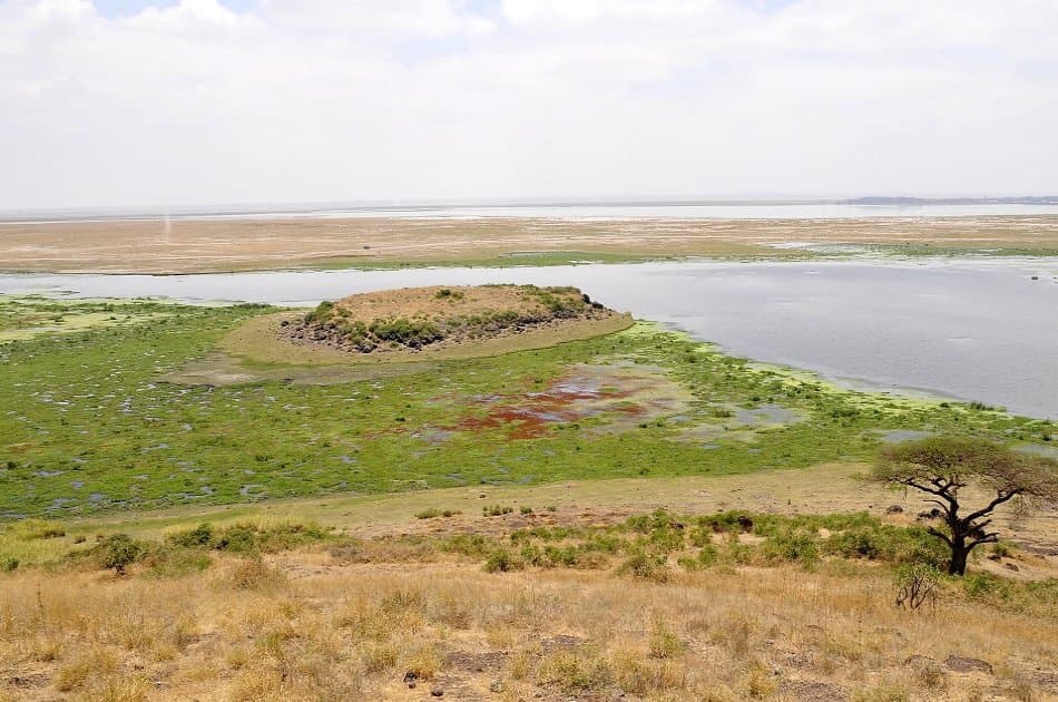 3 Day Amboseli National Park Safari - Photo 7