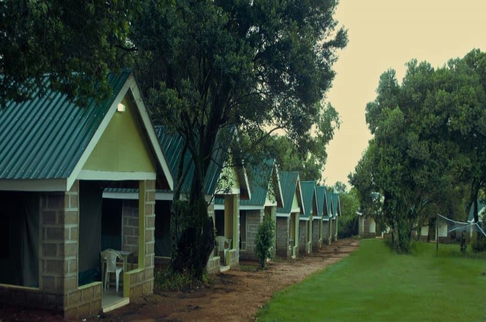 3 Day Maasai Mara Budget Safari From Nairobi - Photo 3