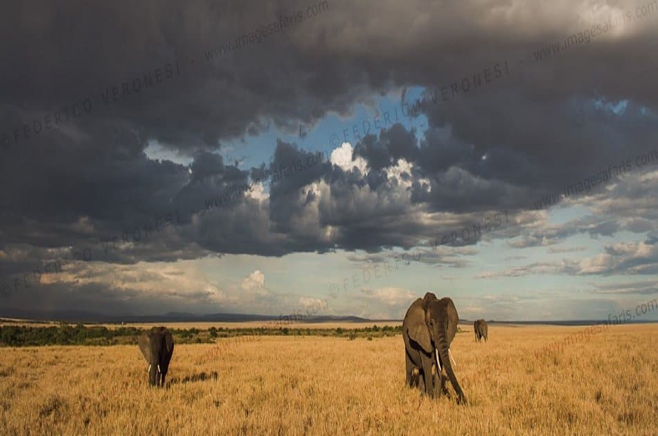 3 Days Masai Mara Safari Kenya - Photo 3