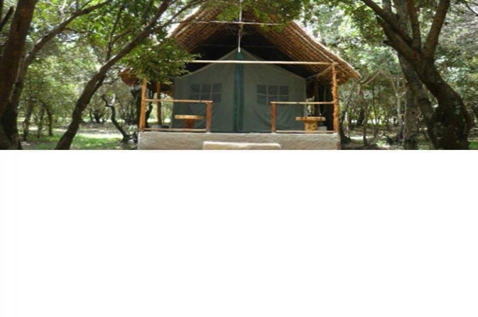 6 Days of Adventure on Kenya Camping Safari - Photo 2
