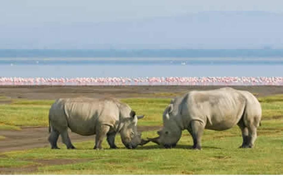 6 Days of Adventure on Kenya Camping Safari - Photo 5