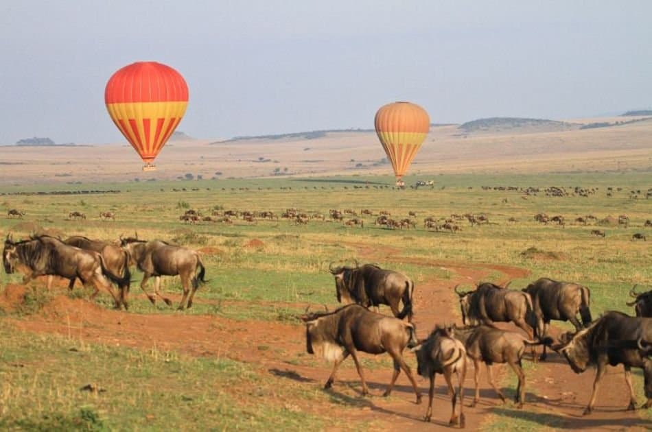 8 Days Best of Kenya Safari - Photo 2