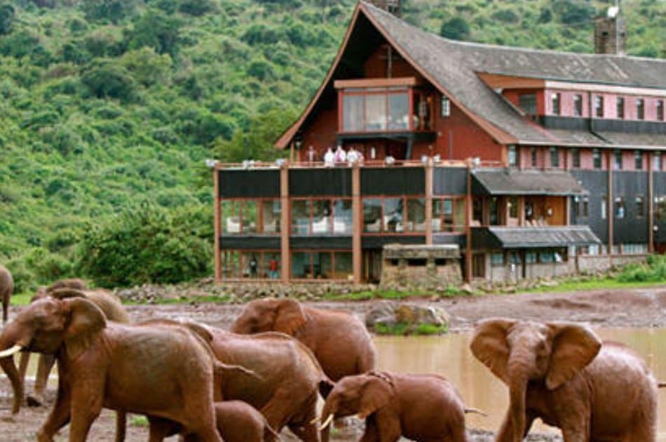 8 Days Northern Kenya Circuit Safari - Photo 3