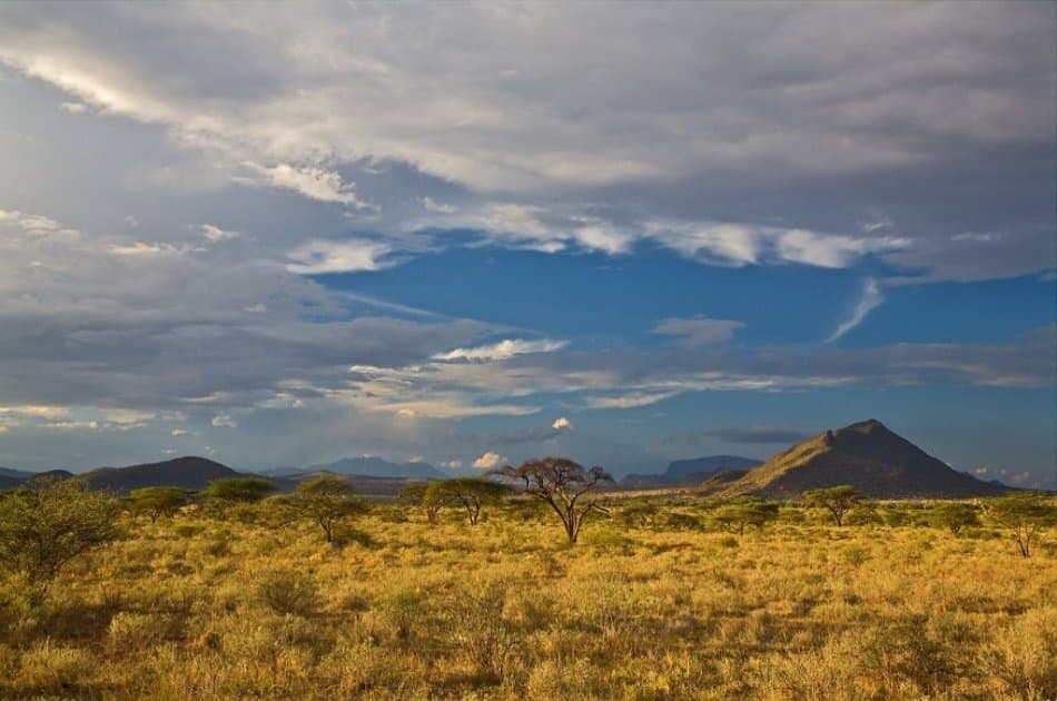 Amazing 3 Day Masai Mara Budget Safari - Photo 9