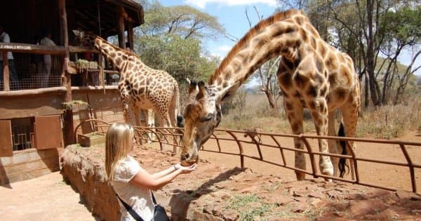 Daphne Sheldricks, Karen Blixen Museum & Giraffe Centre Tour in Nairobi - Photo 1