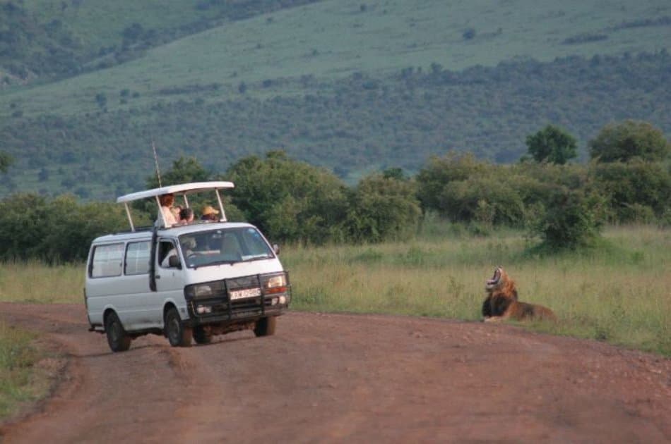 Exciting 3 Day Masai Mara Lodge Safari in Kenya - Photo 2