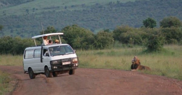Exciting 3 Day Masai Mara Lodge Safari in Kenya - Photo 1
