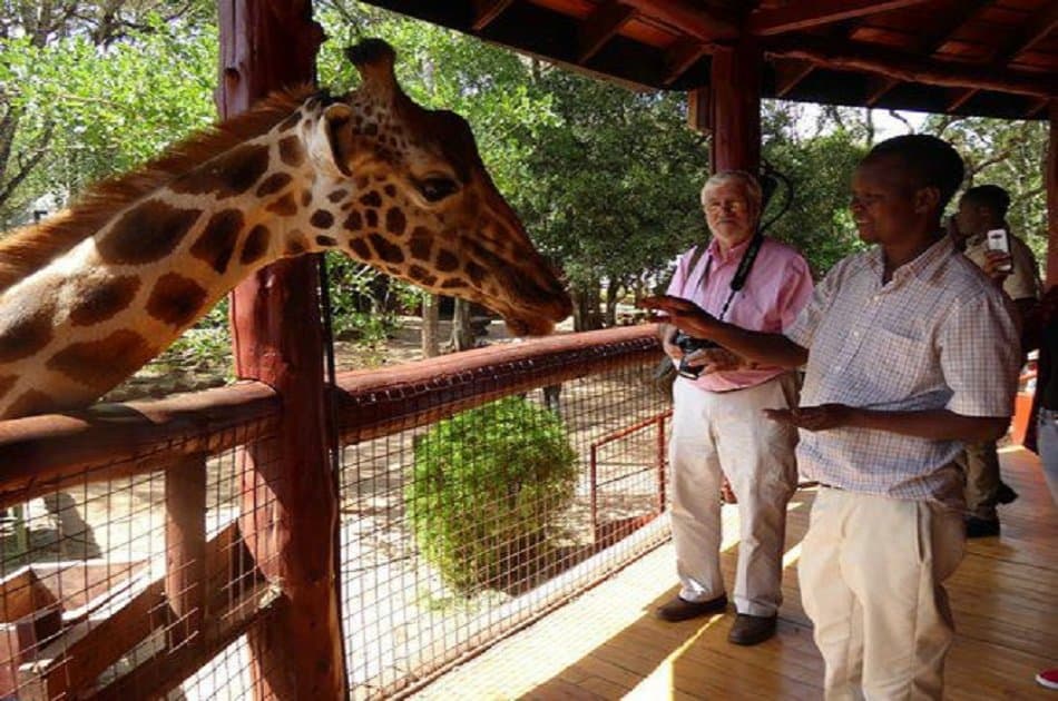 Half Day David Sheldrick Elephant Orphanage, Giraffe Center and Karen Brixen - Photo 2