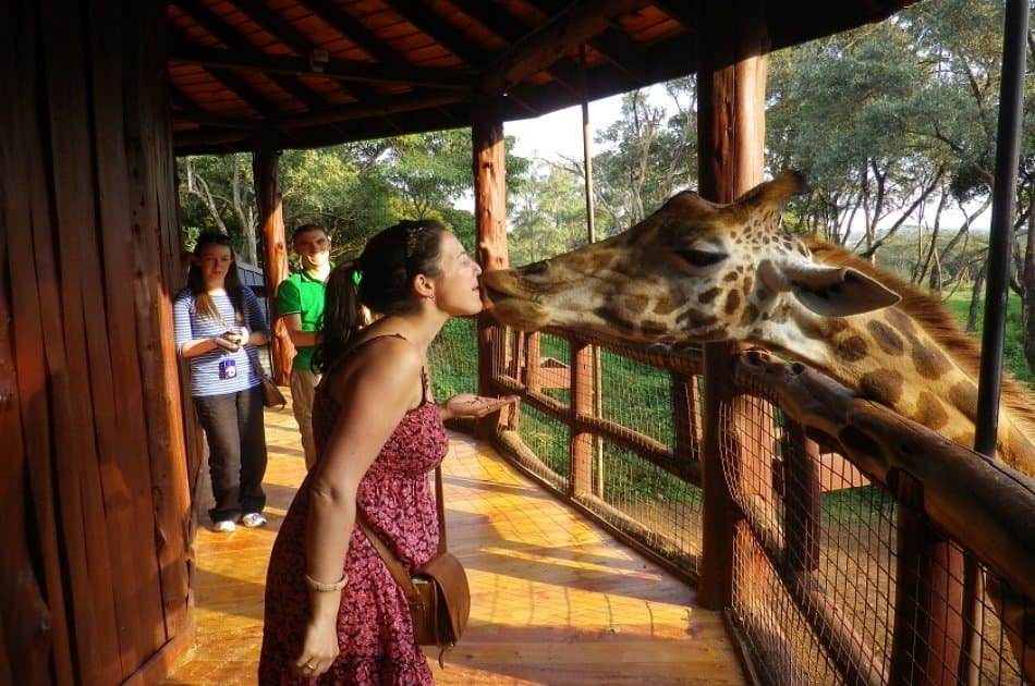 Half Day David Sheldrick Elephant Orphanage, Giraffe Center and Karen Brixen - Photo 4