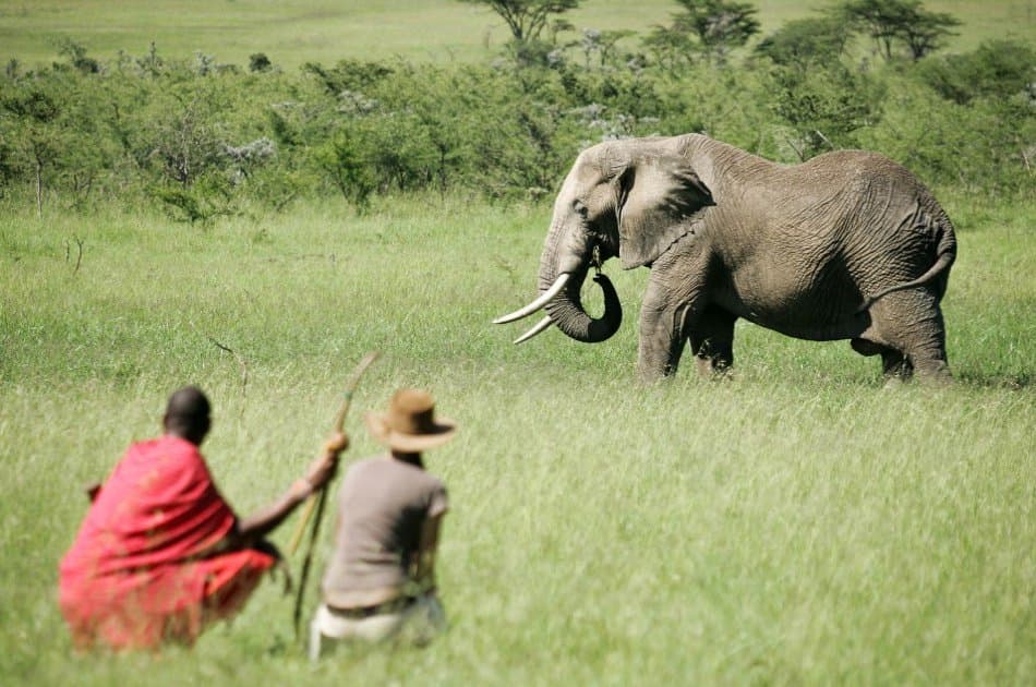 Kenya 3 Days Masai Mara Budget Camping Safari - Photo 6
