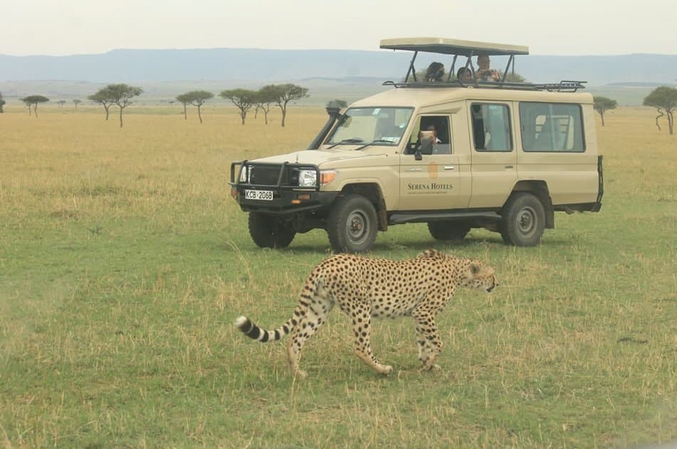 Kenya 5 Day Highlights Safari - Photo 6