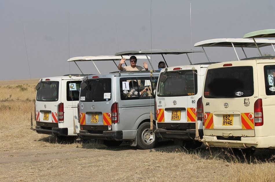 Kenya 5 Day Highlights Safari - Photo 14