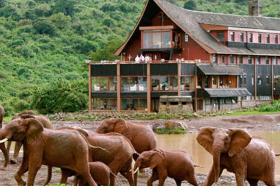 Kenya Migration Lodge Safari - Photo 4