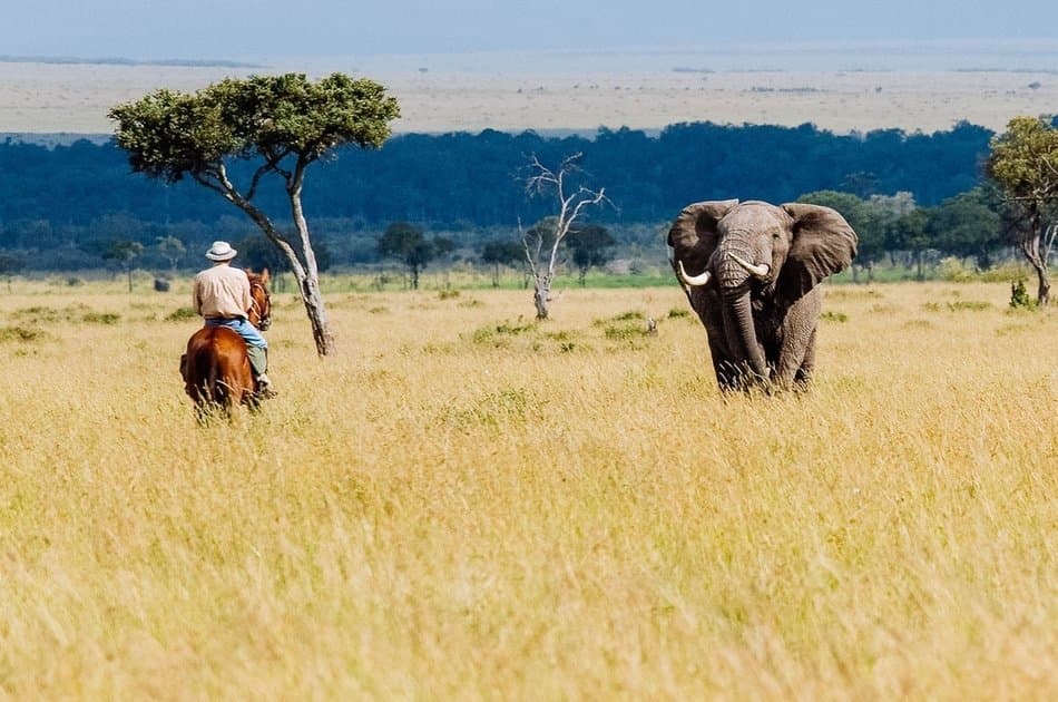 Kenya Wildlife Weekender Tour - Photo 9