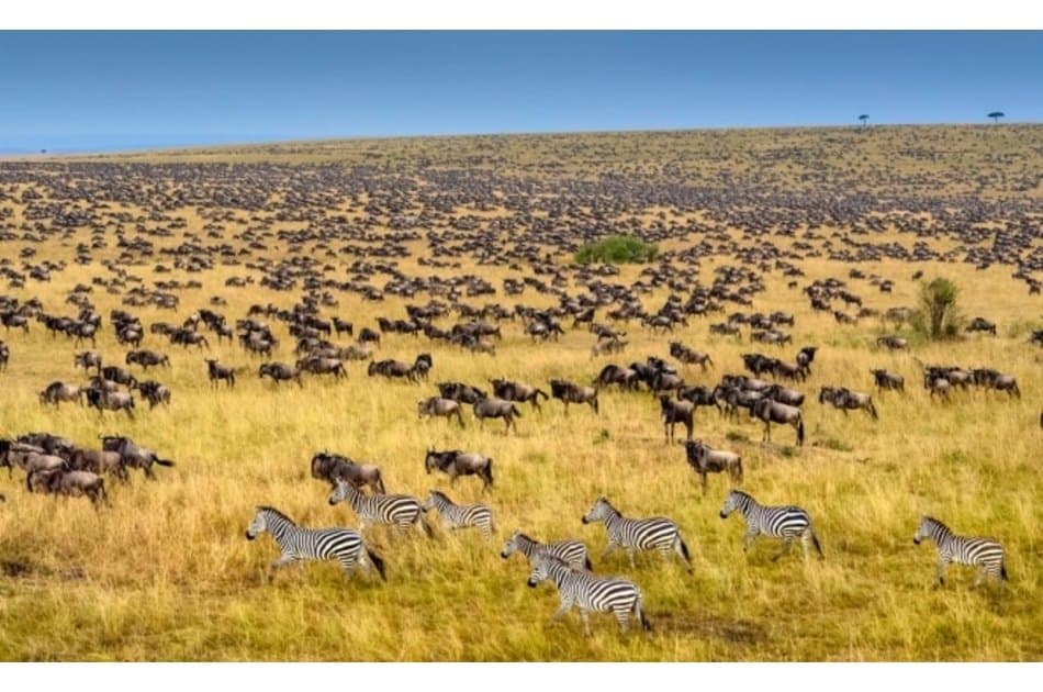 Kenya Wildlife Weekender Tour - Photo 7