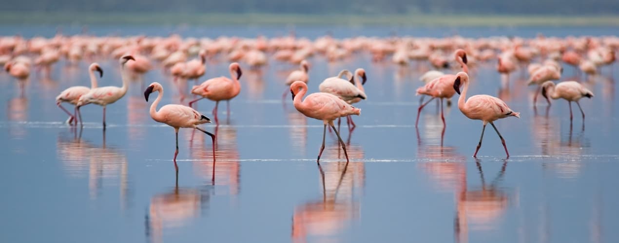Nakuru District