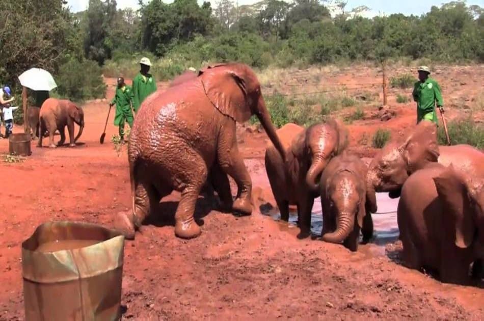Unforgettable Full-day Private Nairobi Tour - Photo 2