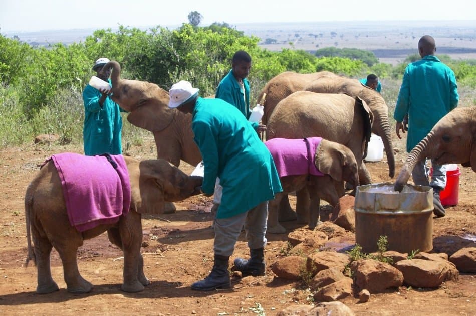Unforgettable Full-day Private Nairobi Tour - Photo 8