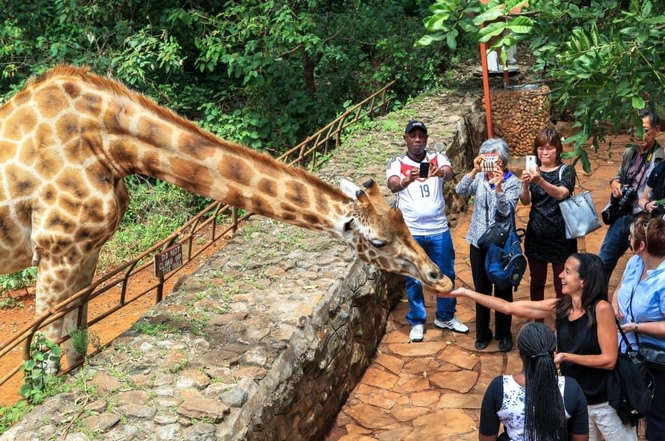 Unforgettable Full-day Private Nairobi Tour - Photo 9