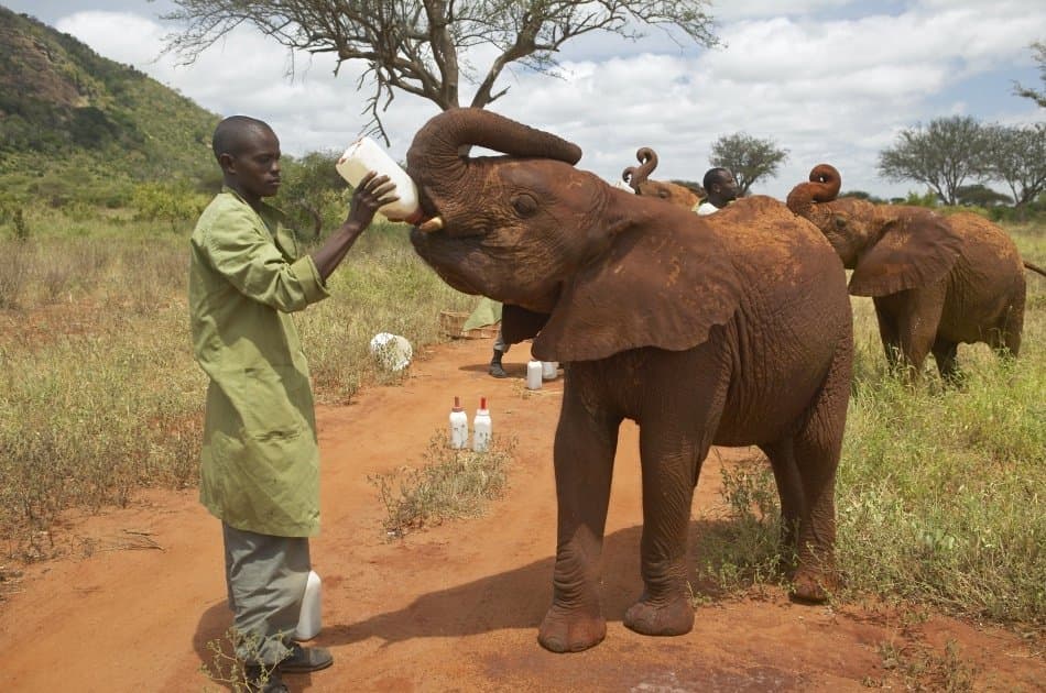 Unforgettable Full-day Private Nairobi Tour - Photo 12