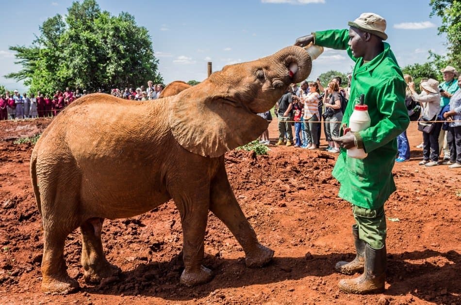 Unforgettable Full-day Private Nairobi Tour - Photo 13