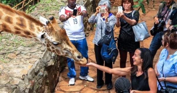 Unforgettable Full-day Private Nairobi Tour - Photo 1
