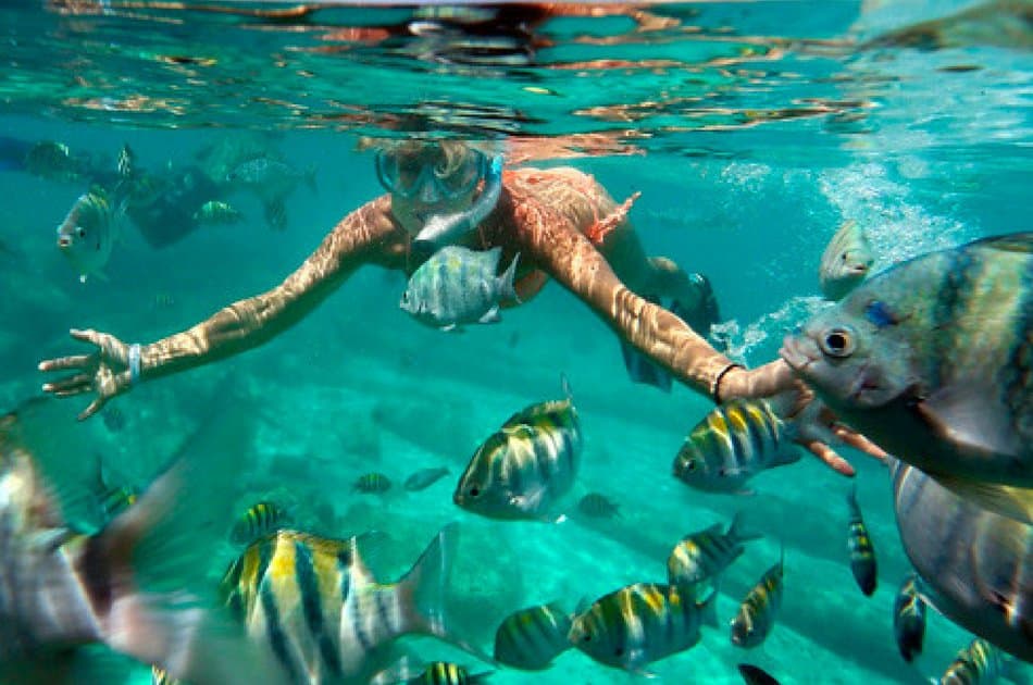 4 Hour Catamaran SB Tour (up to 40 people) - Photo 11