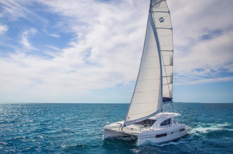 4 Hour Private Catamaran SB Tour ( up to 45 people) - Photo 5