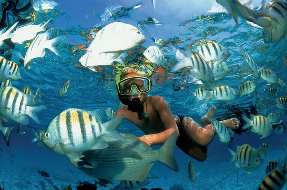 7 Hour Catamaran SB Private Tour (up to 40 people) - Photo 7