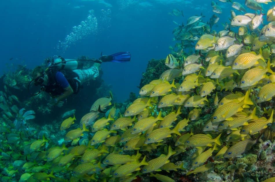 7 Hour Isla Mujeres Nalgone Catamaran Tour (up to 12 people) - Photo 4
