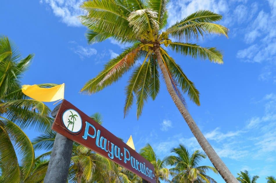 Discover Tulum Playa Paraiso Express Private Tour - Photo 2