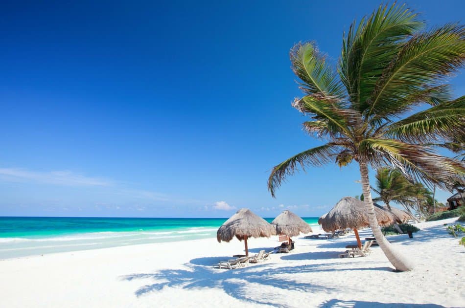 Discover Tulum Playa Paraiso Express Private Tour - Photo 4